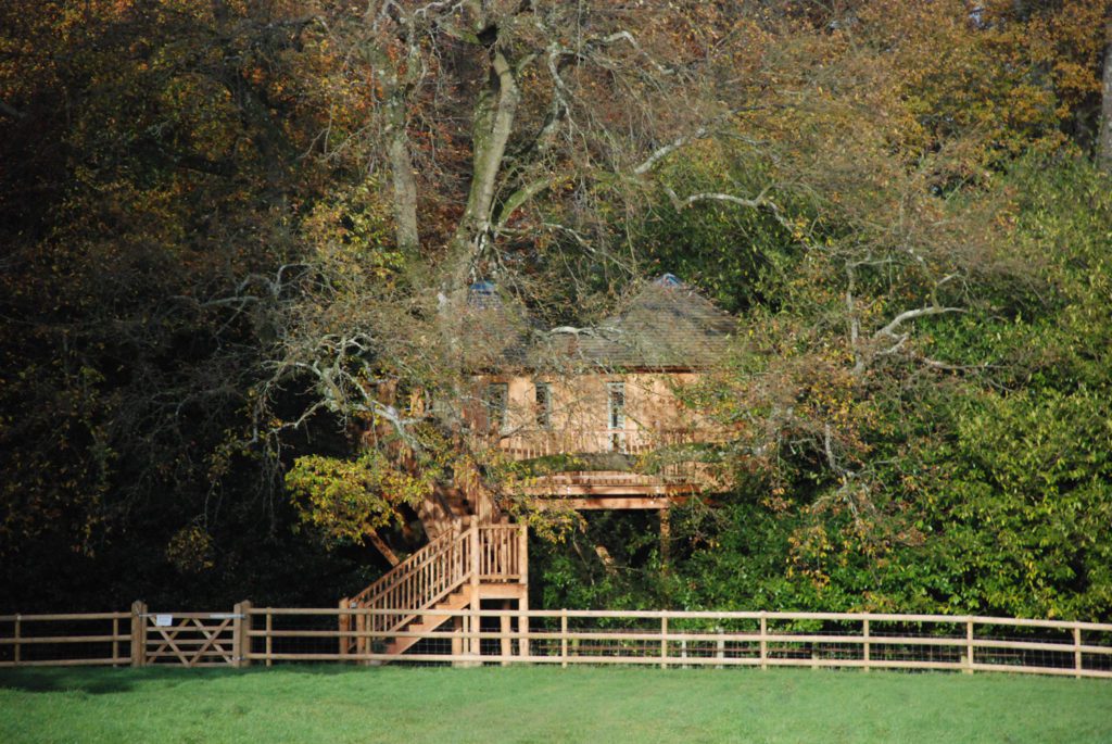 Treehouse Lodge at Harp Tree Court