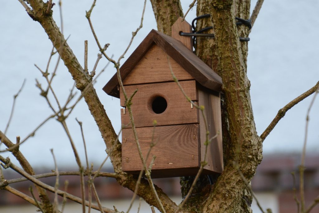 Garden bird box