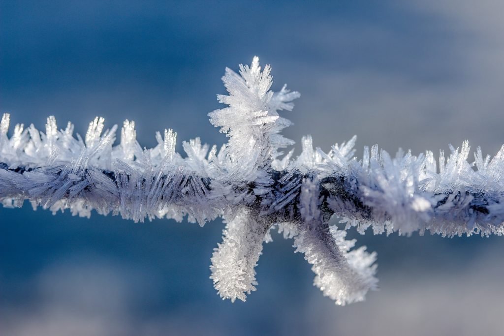 Twig with beautiful frost crystals