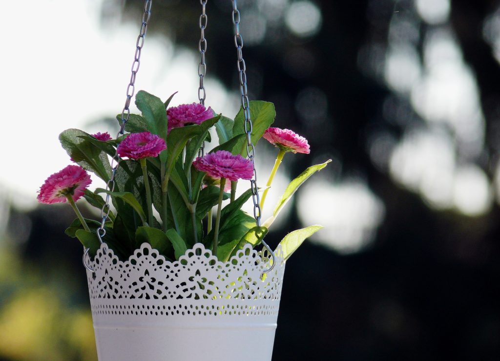 Colourful Hanging Baskets