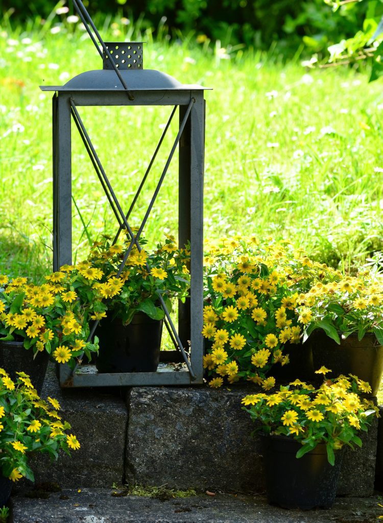 Pretty flowers with Lantern ornament