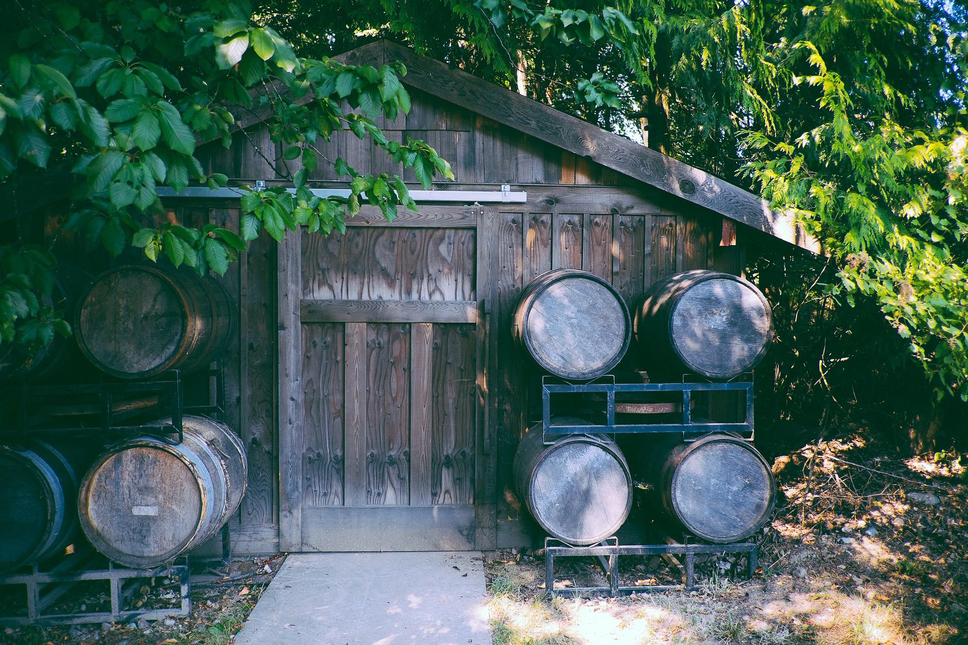 Man Shed