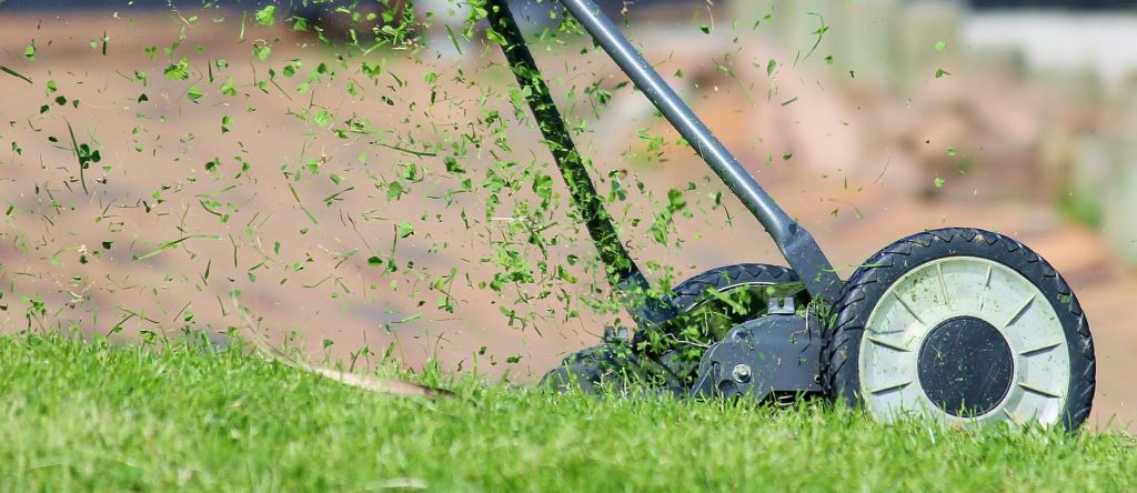Lawnmower Cutting Grass