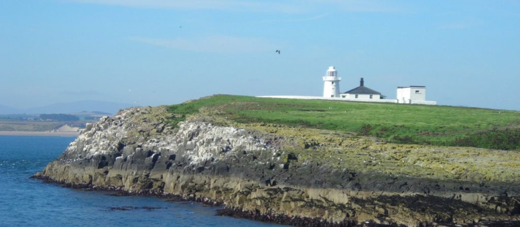 National Trust Farne Islands