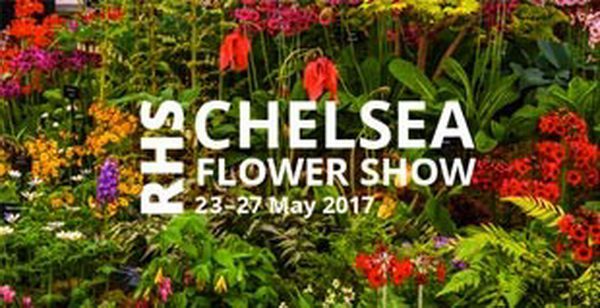 Chelsea Flower Show