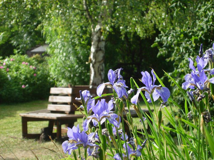 redhall walled garden