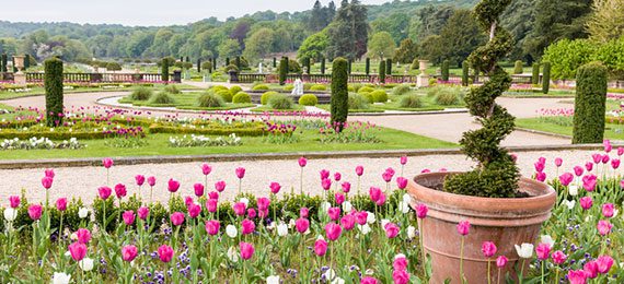 trentham gardens