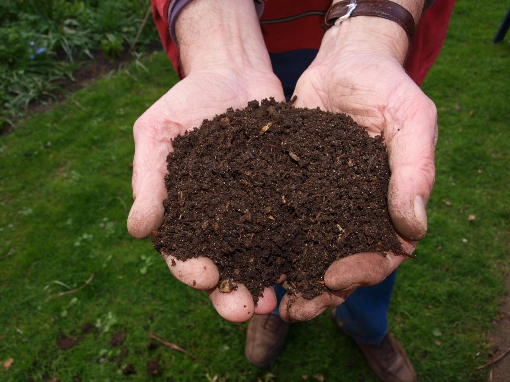 compost in an autumn garden