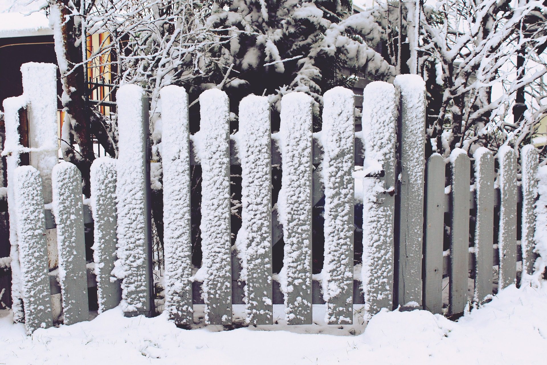 Garden fence in winter