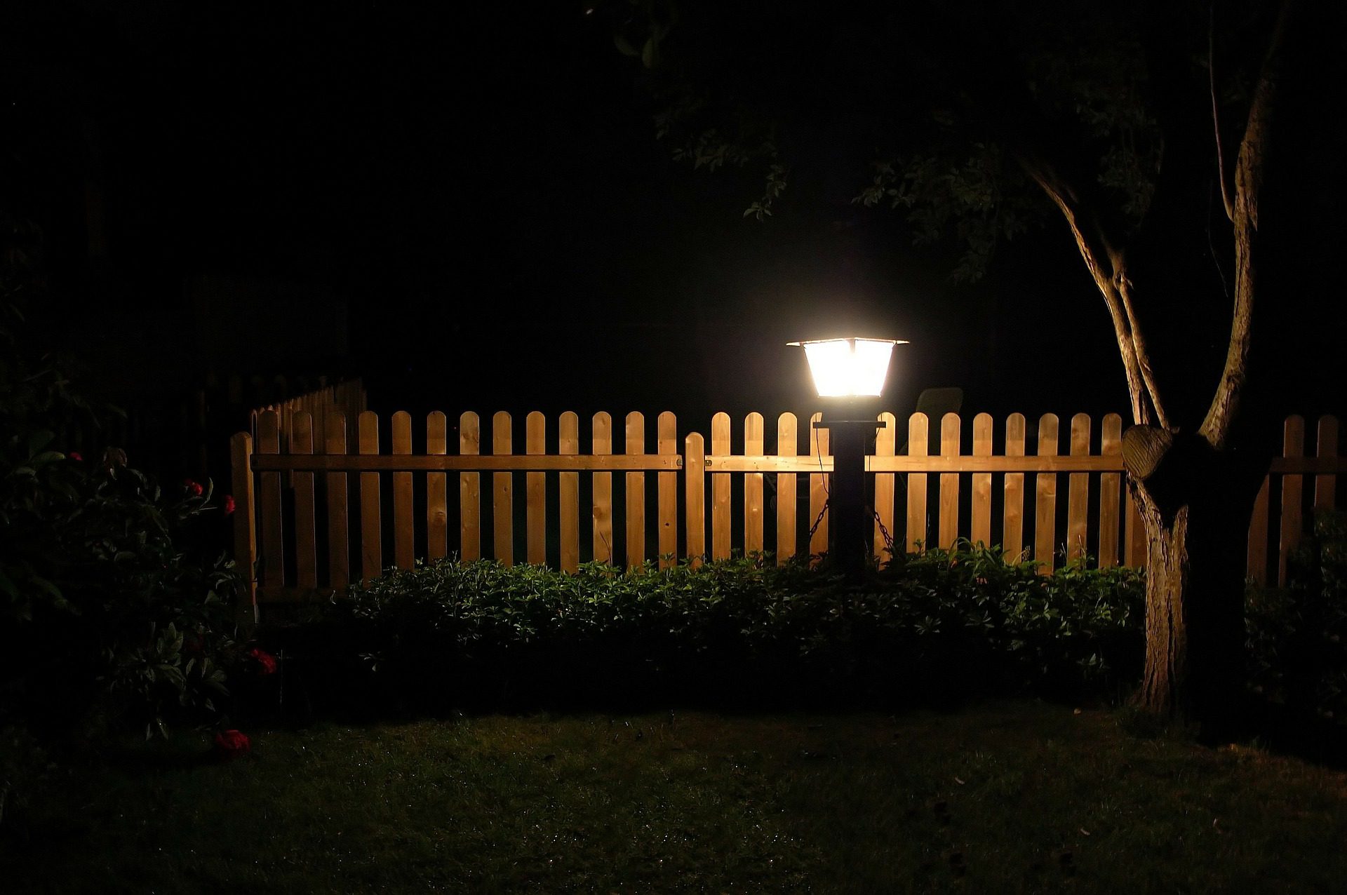 Garden Lights