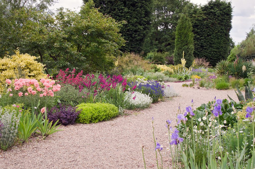 Gravel Garden