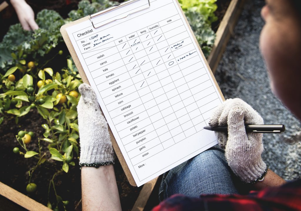 Woman checking list on clipboard for organic fresh agricultural product