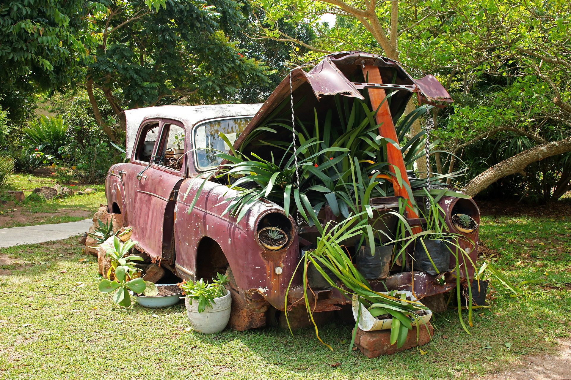 Septic tank cover