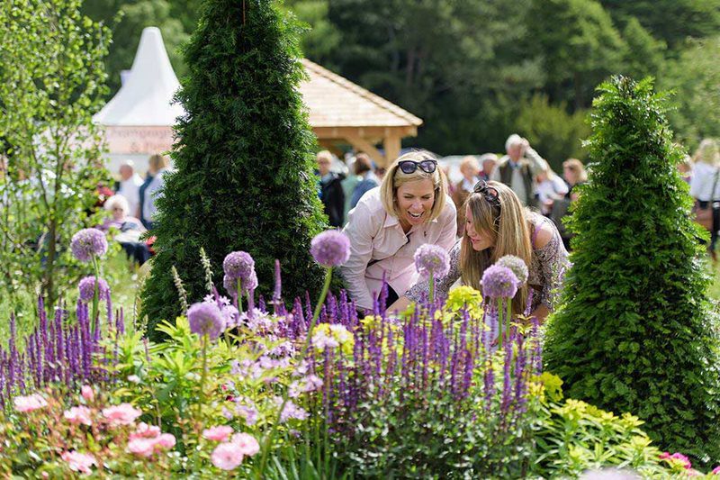 RHS Hampton Court Palace